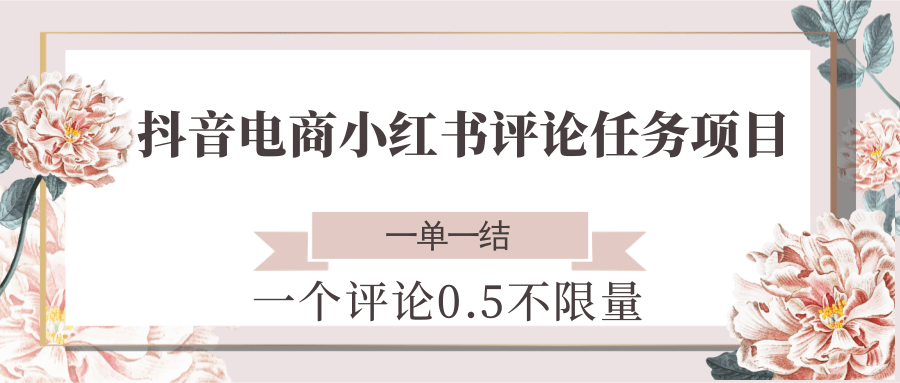 抖音电商小红书评论任务项目，一个评论0.5，一单一结 不限量-chywc