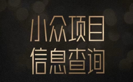 小众蓝海项目情感查询，女粉暴力掘金，轻松日入500+【揭秘】-chywc