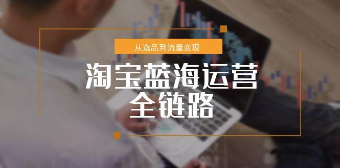 淘宝蓝海运营全链路，从选品到流量变现，小类目突围完整方案-chywc