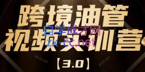 阿蔺Leo·跨境油管视频YouTube实训营(更新2025)-chywc