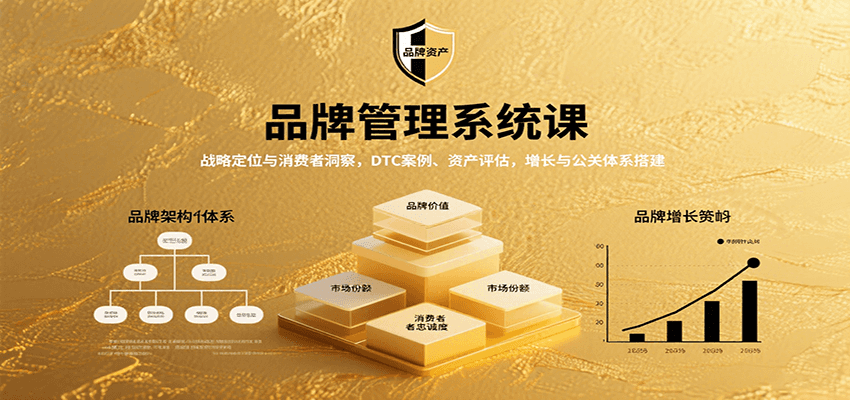 品牌管理系统课：战略定位与消费者洞察，DTC案例、资产评估，增长与公关体系搭建-chywc
