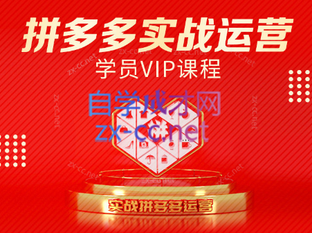 推易电商·拼多多实战运营课(更新2025月)-chywc