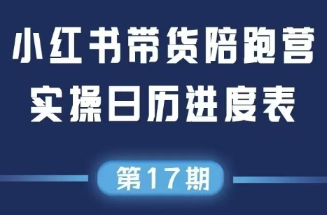 盗坤·抖音小红书视频号短视频带货与直播变现(11-17期)-chywc