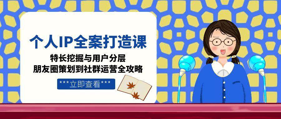 个人IP全案打造课，特长挖掘与用户分层，朋友圈策划到社群运营全攻略-chywc