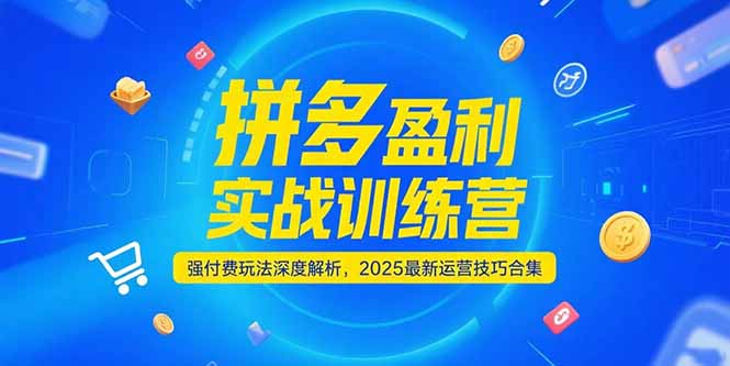 拼多多盈利实战训练营，强付费玩法深度解析，2025运营技巧合集-更新6月-chywc