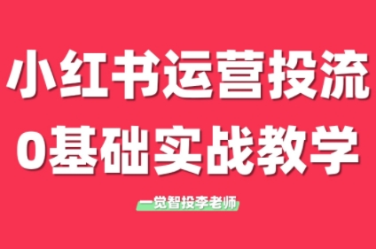 李老师·小红书运营投流，0基础实战教学(更新)-chywc