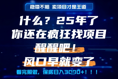 什么？25年你还在疯狂找项目做，醒醒吧，看完这些你全都懂了！【揭秘】-chywc