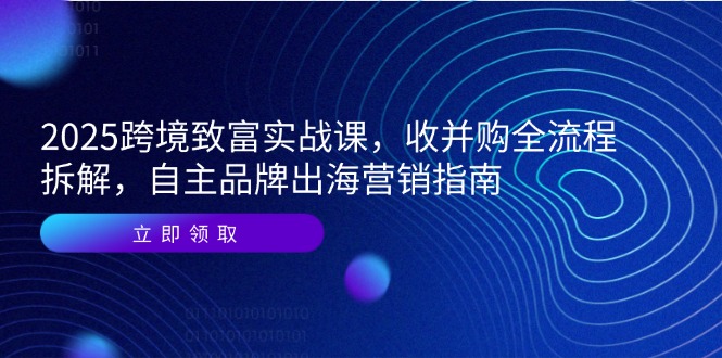 2025跨境致富实战课，收并购全流程拆解，自主品牌出海营销指南-chywc