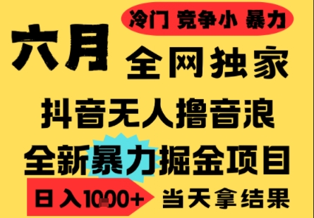 25年6月高爆抖音无人直播最新撸音浪掘金项目，小白可做，无脑日入1k+，门槛低可批量矩阵【揭秘】-chywc
