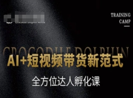 AI+短视频带货新范式，全方位达人孵化课-chywc