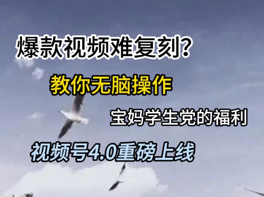 视频号4.0重磅上线，爆款视频难复刻？教你无脑操作宝妈学生党的福利【揭秘】-chywc
