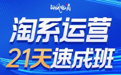白凤电商·淘系运营21天速成班(更新6月)-chywc