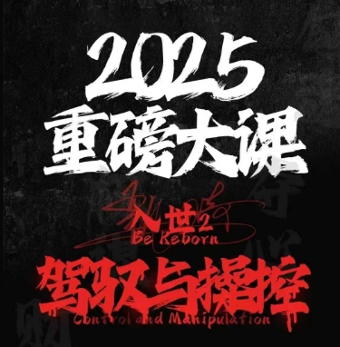 2025重磅大课，入世2，驾驭与控制-chywc