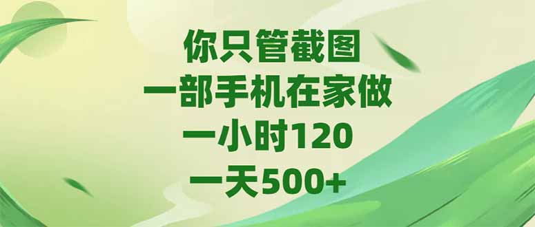 你只管截图，一部手机在家做，一小时120，-天500+-chywc