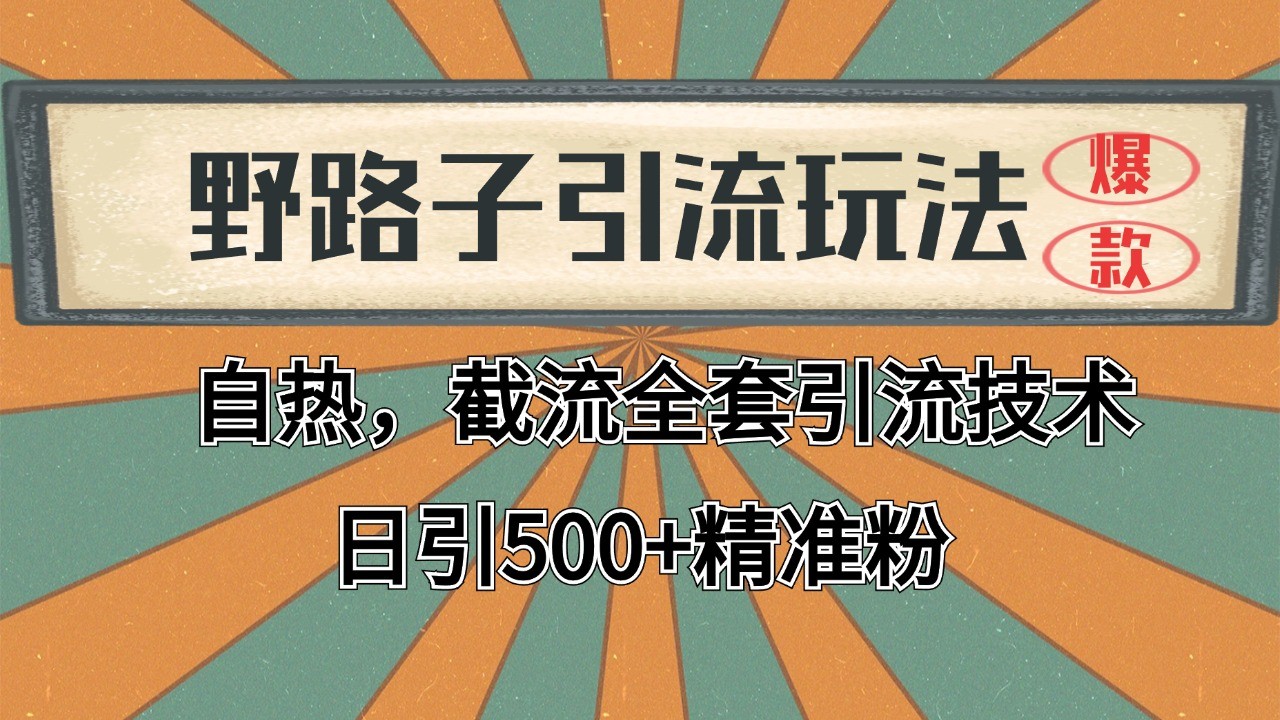 2024首发野路子引流玩法截流自热全平台打法，全自动引流【日引2000+精准客户】-chywc