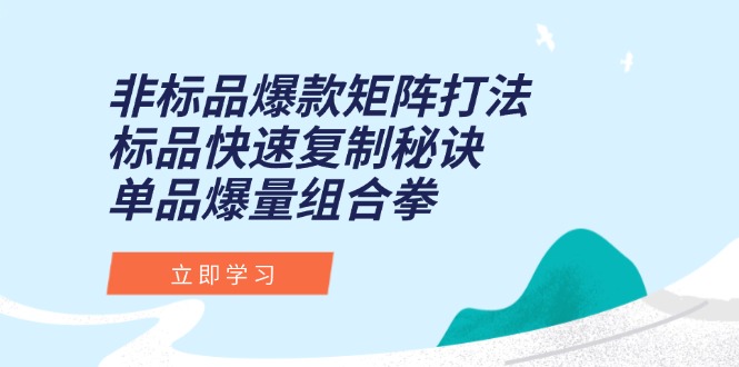 非标品爆款矩阵打法，标品快速复制秘诀，单品爆量组合拳-chywc