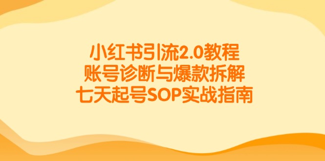 小红书引流2.0教程，账号诊断与爆款拆解，七天起号SOP实战指南-chywc