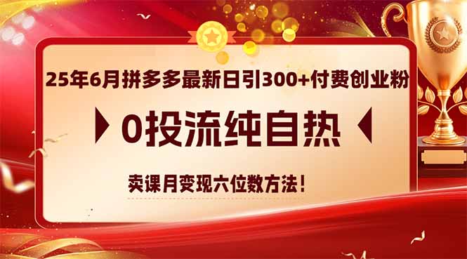 25年6月拼多多最新日引300+付费创业粉，0投流纯自热 卖课月变现六位数方法-chywc