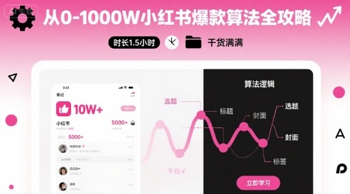 从0-1000W小红书爆款算法全攻略，时长1.5小时，干货满满-chywc