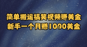 简单搬运搞笑视频挣美金，新手一个月入1k美金-chywc