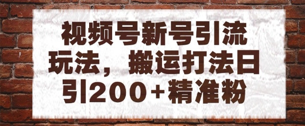 视频号新号引流玩法，搬运打法日引200+精准粉，可矩阵放大【揭秘】-chywc