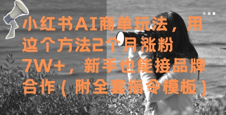 小红书AI商单玩法，用这个方法2个月涨粉7W+，新手也能接品牌合作(附全套指令模板)-chywc
