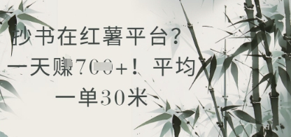 抄书在小红薯平台？平均一单30米，一天收益几张！-chywc
