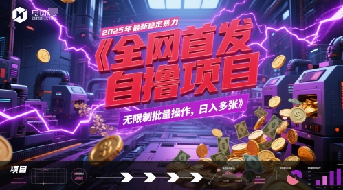 全网首发，2025年最新稳定暴力全自动自撸项目，无限制批量操作，日入多张【揭秘】-chywc