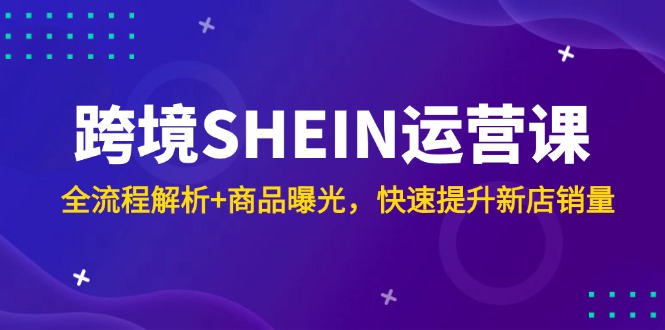 跨境SHEIN运营课，全流程解析+商品曝光，快速提升新店销量-chywc