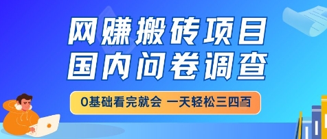 网创搬砖项目，国内问卷调查，小白轻松上手，一天三四张的也不难，干就完了【揭秘】-chywc