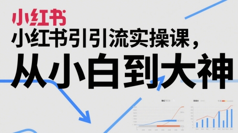 小红书引流实操课，从小白到大神-chywc