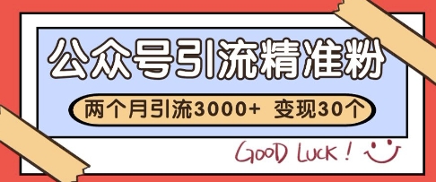 公众号精准粉引流玩法，2个月3000+精准粉，变现30个W【揭秘】-chywc