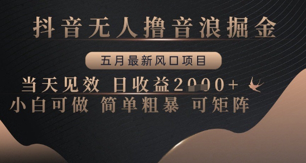 抖音无人撸音浪掘金，五月最新风口项目，当天见效，日收益多张，小白可做简单粗暴可矩阵【揭秘】-chywc