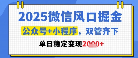 2025微信风口掘金，公众号+小程序双管齐下，单日稳定变现1k+【揭秘】-chywc