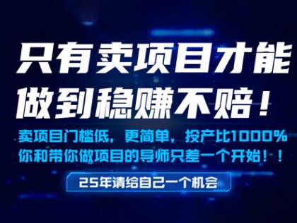 只有卖项目才能做到稳挣不赔，门槛低，更简单，你也可以年入百个W【揭秘】-chywc