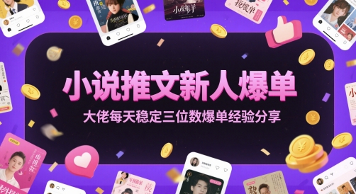 小说推文新人爆单大佬每天稳定三位数爆单经验分享-chywc