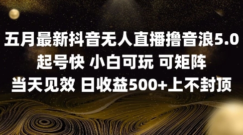 2025五月最新无人直播撸音浪单日产出5张+实操教程【揭秘】-chywc
