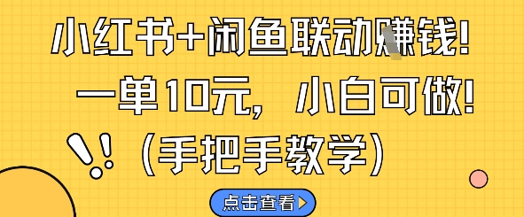 小红书+闲鱼联动挣钱，一单10元，小白可做-chywc