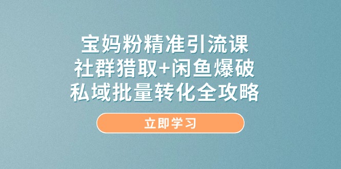 宝妈粉精准引流课，社群猎取+闲鱼爆破，私域批量转化全攻略-chywc