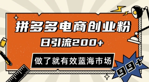 拼多多引流电商创业粉，日引200+，可矩阵放大，做了就有效【揭秘】-chywc