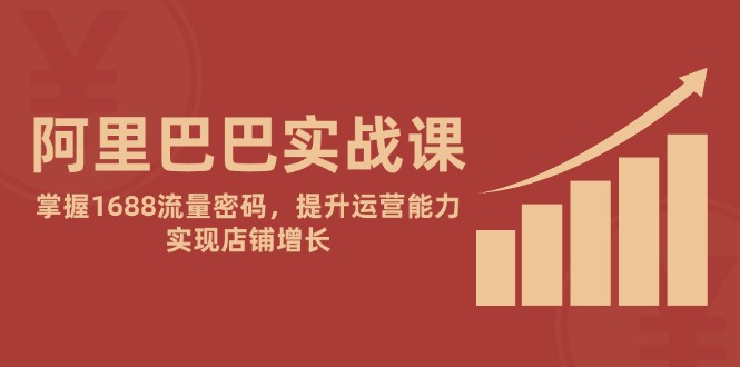 阿里巴巴实战课：掌握1688流量密码，提升运营能力，实现店铺增长-chywc