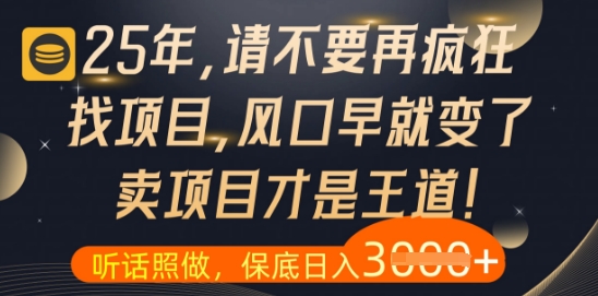 什么？25年你还在疯狂找项目做，醒醒吧，看完这些你全都懂了【揭秘】-chywc