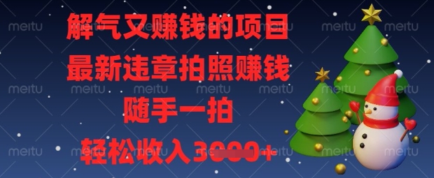 解气又挣钱的项目，最新违章拍照挣钱，随手一拍，轻松收入数张【揭秘】-chywc