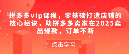 拼多多vip课程，零基础打造店铺的核心秘诀，助拼多多卖家在2025卖出爆款，订单不断-chywc