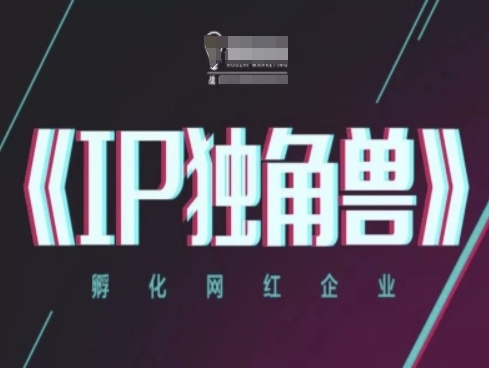 IP独角兽，孵化网红企业，ip教程-chywc