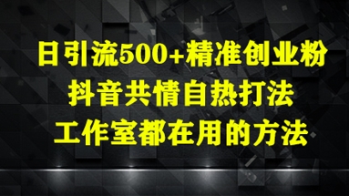 日引流500+精准创业粉，抖音共情自热打法，工作室都在用的方法-chywc