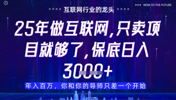 什么！25年你还在找项目做？风口早就变了，卖项目才是稳挣不赔【揭秘】-chywc