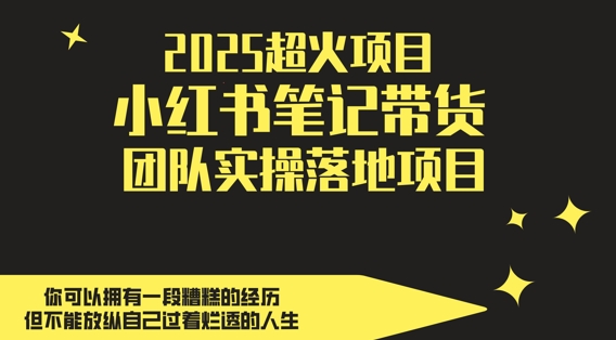 2025超火项目，副业最佳选择，小红书笔记带货团队实操落地项目，，轻松日入5张-chywc