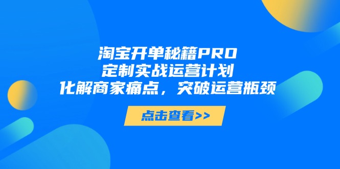 淘宝开单秘籍PRO，定制实战运营计划，化解商家痛点，突破运营瓶颈-chywc