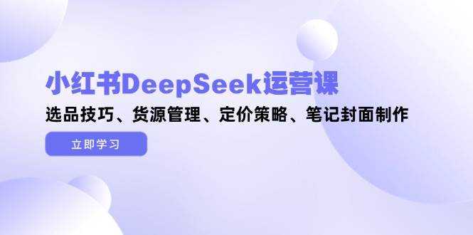 小红书DeepSeek运营课，选品技巧、货源管理、定价策略、笔记封面制作-chywc